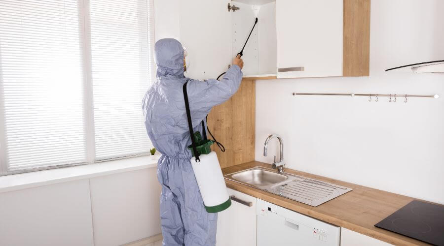 Professional pest control service services in Green Cove Springs - Underwood  Sons Pest Control